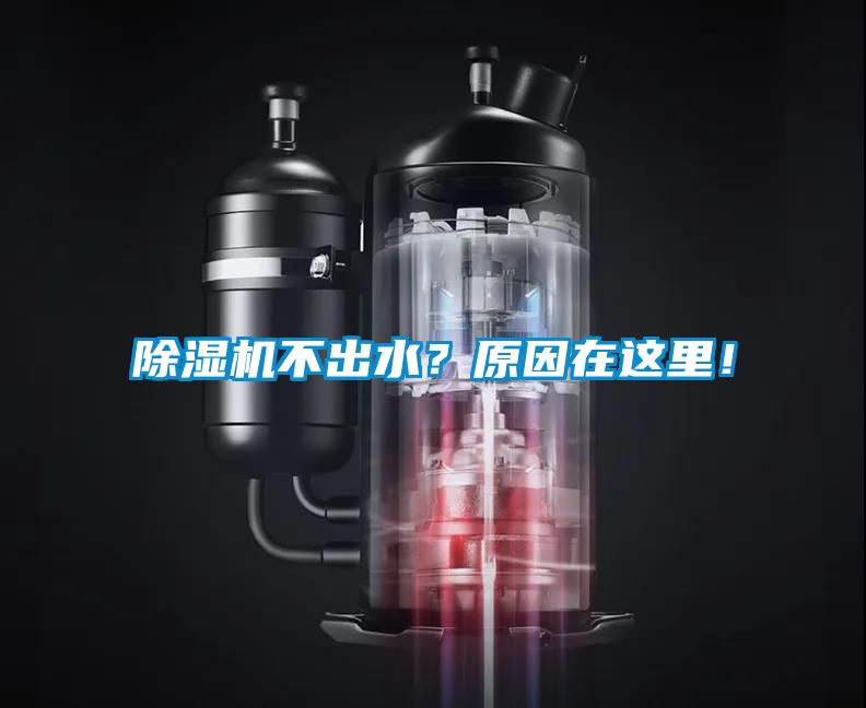 除濕機不出水？原因在這里！