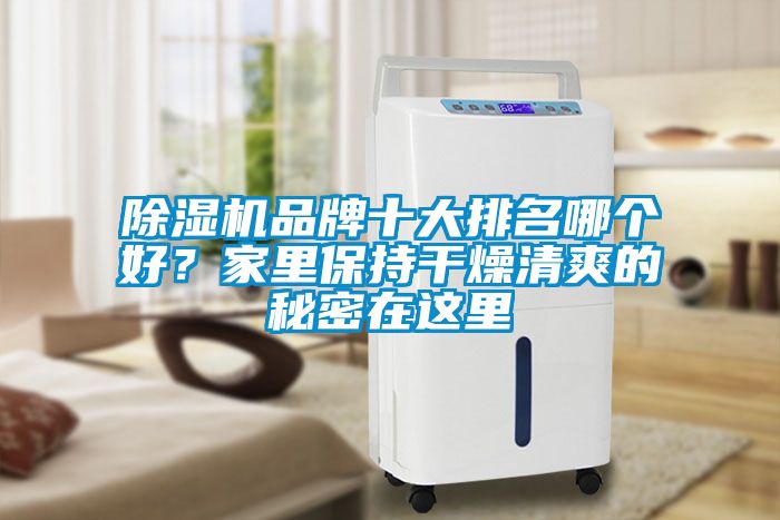 除濕機品牌十大排名哪個好？家里保持干燥清爽的秘密在這里