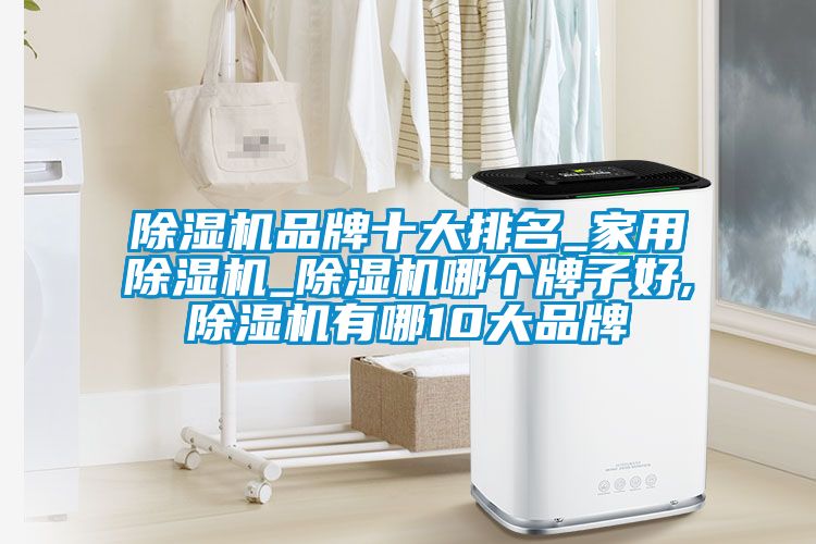 除濕機品牌十大排名_家用除濕機_除濕機哪個牌子好,除濕機有哪10大品牌