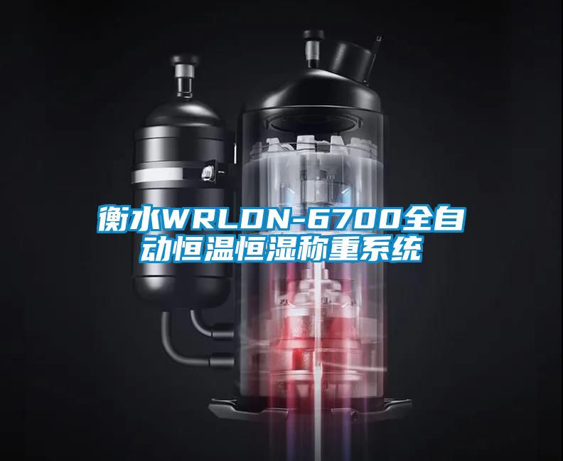 衡水WRLDN-6700全自動恒溫恒濕稱重系統(tǒng)