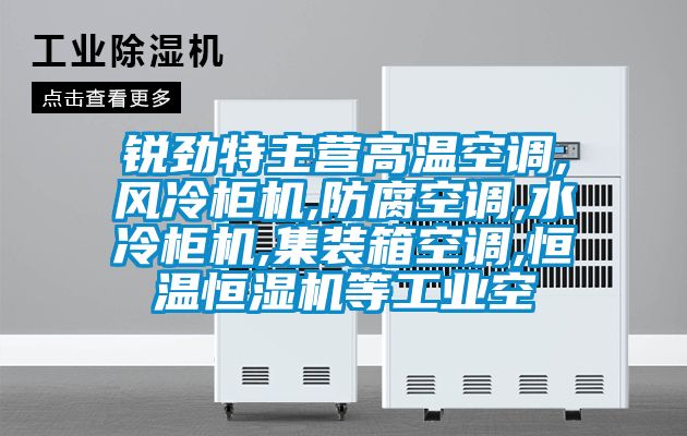 銳勁特主營高溫空調,風冷柜機,防腐空調,水冷柜機,集裝箱空調,恒溫恒濕機等工業空