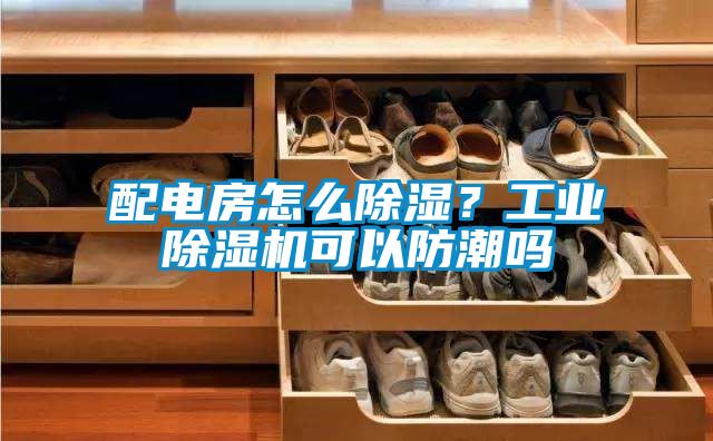 配電房怎么除濕？工業除濕機可以防潮嗎