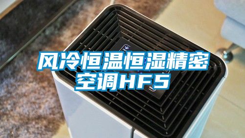 風冷恒溫恒濕精密空調HF5