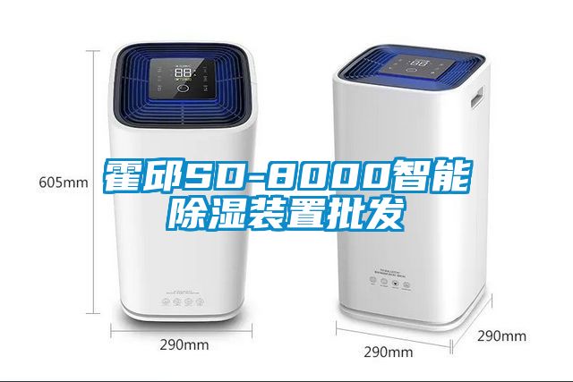 霍邱SD-8000智能除濕裝置批發