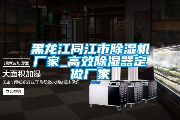 黑龍江同江市除濕機廠家_高效除濕器定做廠家