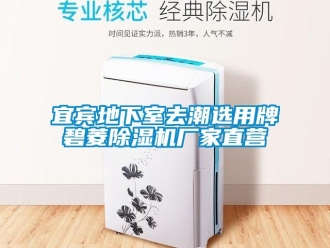 企業(yè)新聞宜賓地下室去潮選用牌碧菱除濕機(jī)廠家直營