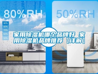 企業(yè)新聞家用除濕機哪個品牌好 家用除濕機品牌推薦【詳解】