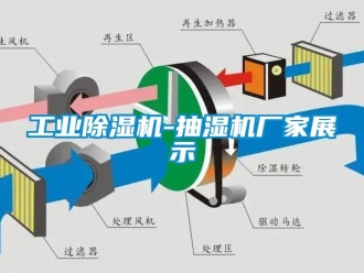 企業(yè)新聞工業(yè)除濕機(jī)-抽濕機(jī)廠家展示